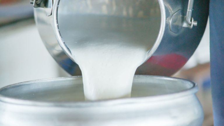 Antioxidant and polyphenol content of different milk and dairy products