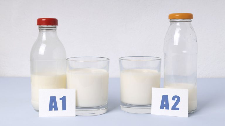 milk-protein