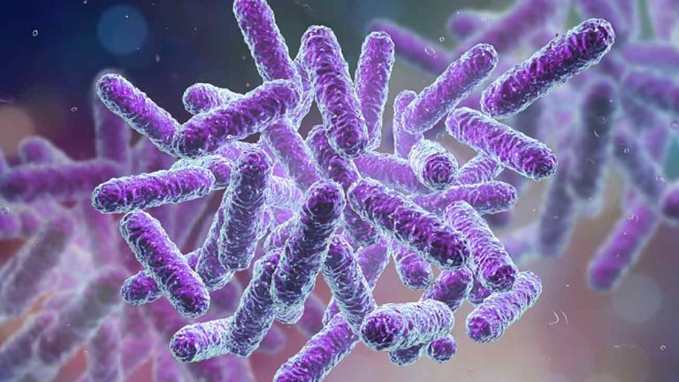 A jó baktériumok fontos szerepe mikrobiomunkban