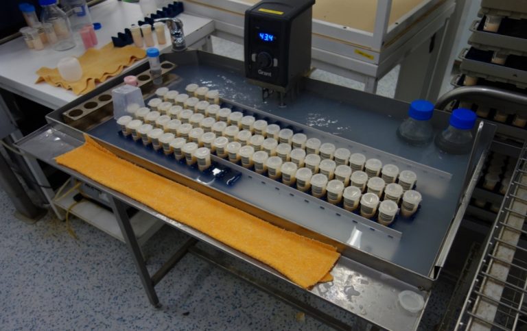 1 abra cseh MIR FT vizfurdo